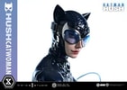 Catwoman (Prototype Shown) View 12