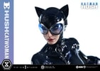 Catwoman (Prototype Shown) View 13
