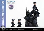 Catwoman (Deluxe Version) (Prototype Shown) View 13