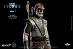 Worf (Prototype Shown) View 10
