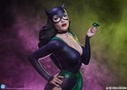 Catwoman (Prototype Shown) View 1