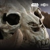Tauntaun Skull (Prototype Shown) View 5