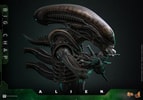 Big Chap Collector Edition (Prototype Shown) View 9