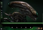Big Chap Collector Edition (Prototype Shown) View 13