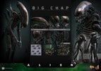 Big Chap Collector Edition (Prototype Shown) View 14