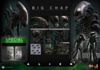 Big Chap (Special Edition) Exclusive Edition (Prototype Shown) View 13