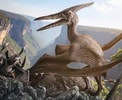 Pteranodon (Prototype Shown) View 1