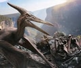 Pteranodon (Prototype Shown) View 3
