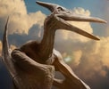 Pteranodon (Prototype Shown) View 5