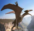 Pteranodon (Bonus Version) (Prototype Shown) View 3