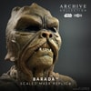 Barada Mask (Prototype Shown) View 5