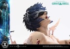 Motoko Kusanagi VS Arachnida (Prototype Shown) View 14