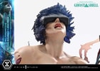 Motoko Kusanagi VS Arachnida (Prototype Shown) View 15