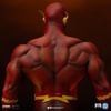 The Flash (Prototype Shown) View 7