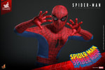 Spider-Man (Prototype Shown) View 15