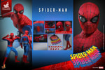 Spider-Man (Prototype Shown) View 17