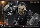 Cave Troll of Moria (Prototype Shown) View 13