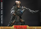 Broken Tusk Predator (Special Edition) (Prototype Shown) View 16