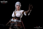 Ciri of Cintra (Prototype Shown) View 10