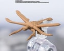 Megaguirus Evolution Set (Prototype Shown) View 7