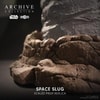 Space Slug (Prototype Shown) View 6