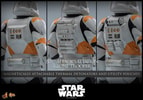212th Attack Battalion Clone Trooper™ Collector Edition (Prototype Shown) View 15