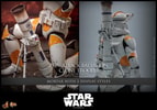 212th Attack Battalion Clone Trooper™ (Deluxe Version) (Prototype Shown) View 22