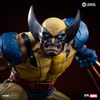 Wolverine (Prototype Shown) View 6
