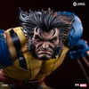 Wolverine (Prototype Shown) View 7