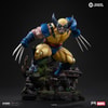 Wolverine (Prototype Shown) View 9