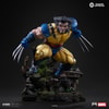Wolverine (Prototype Shown) View 10