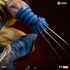 Wolverine (Prototype Shown) View 17