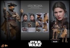Leia Organa (Boushh Disguise)™ (Prototype Shown) View 18