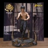 Bruce Lee (Kali Sticks Fight) Deluxe (Prototype Shown) View 1