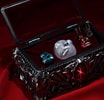 Coffret of Fate: Behelit Collection (Prototype Shown) View 4