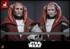 Saesee Tiin™ (Clone Armor) (Prototype Shown) View 18