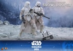 Imperial Remnant Snowtrooper (Prototype Shown) View 8