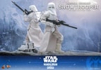 Imperial Remnant Snowtrooper (Prototype Shown) View 10