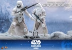 Imperial Remnant Snowtrooper (Prototype Shown) View 11