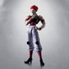 Hisoka (Prototype Shown) View 7
