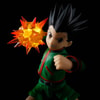 Gon (Prototype Shown) View 1
