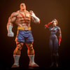 Sagat & Juli (Prototype Shown) View 1