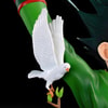 Gon Freecss (Prototype Shown) View 3
