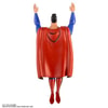 Superman (Prototype Shown) View 8
