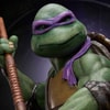 TMNT - Donatello (Prototype Shown) View 5