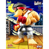 Ryu (Prototype Shown) View 5