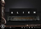 Big Chap Xenomorph (Prototype Shown) View 12