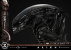 Big Chap Xenomorph (Prototype Shown) View 13