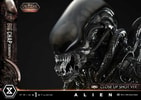 Big Chap Xenomorph (Deluxe Version) (Prototype Shown) View 15