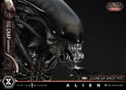 Big Chap Xenomorph (Deluxe Version) (Prototype Shown) View 16